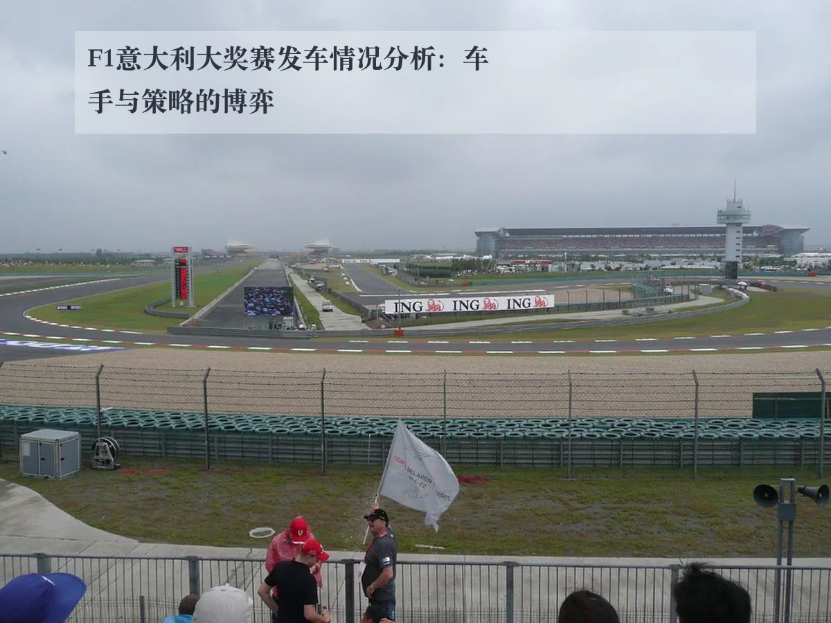 F1意大利大奖赛发车情况分析：车手与策略的博弈